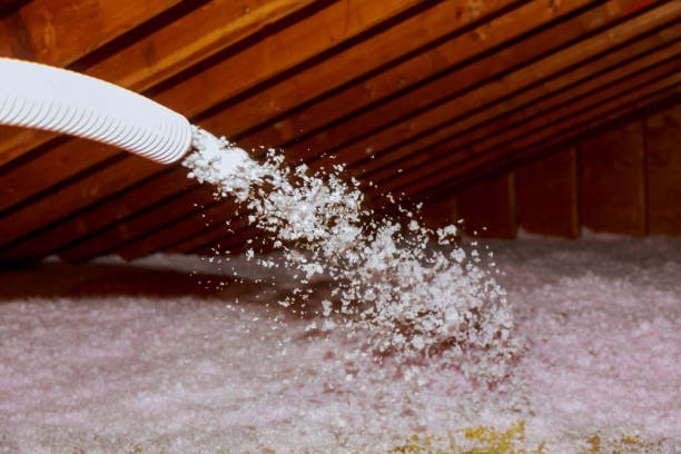 Best Geographic-Specific Insulation Services in Hubbard, OH